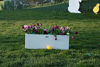 1137500.tif