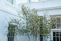 1139809.tif