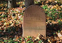 1113610.jpg